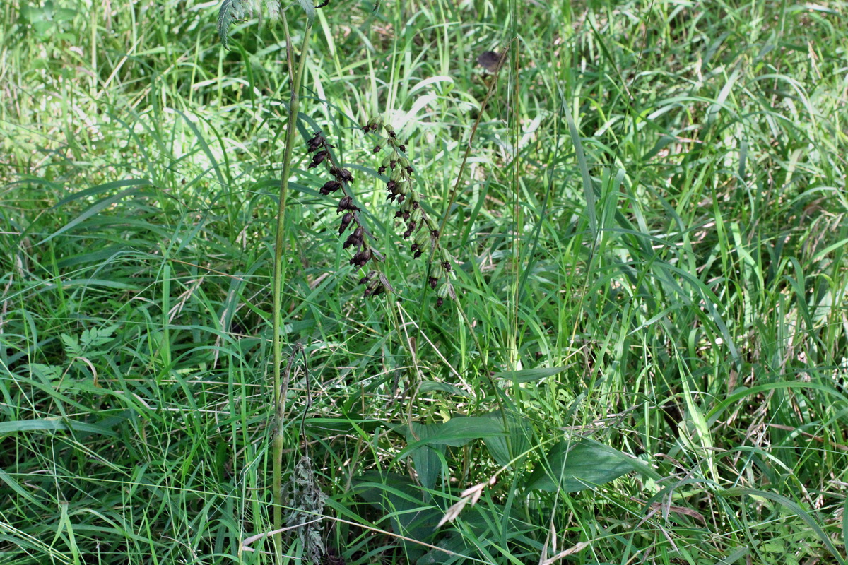 2014_08_25_00050090p_Bildgr��e �ndern