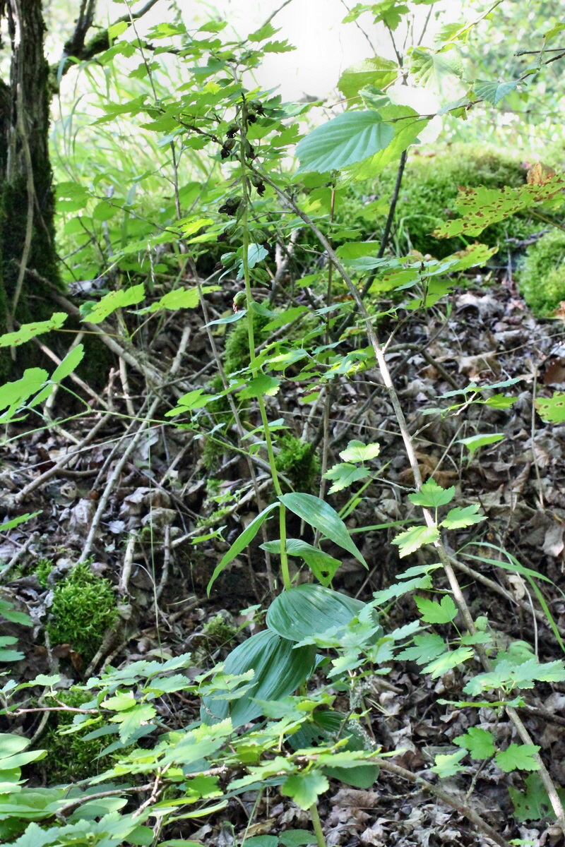 2014_08_25_00050093p_Bildgr��e �ndern