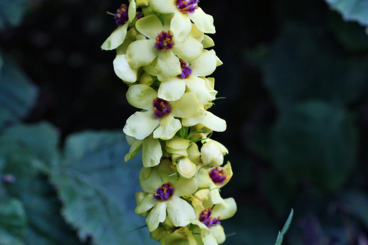 2014_08_25_00050112p_Bildgr��e �ndern