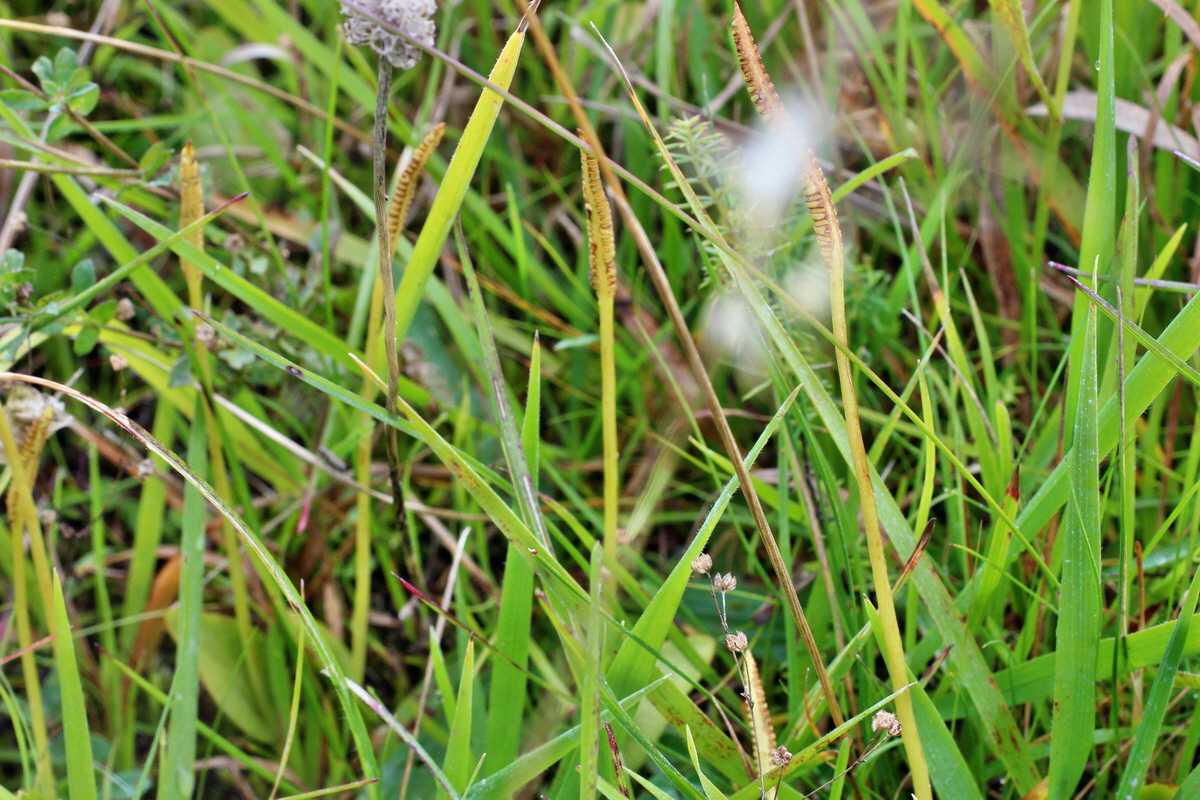 2014_08_25_00050114p_Bildgr��e �ndern