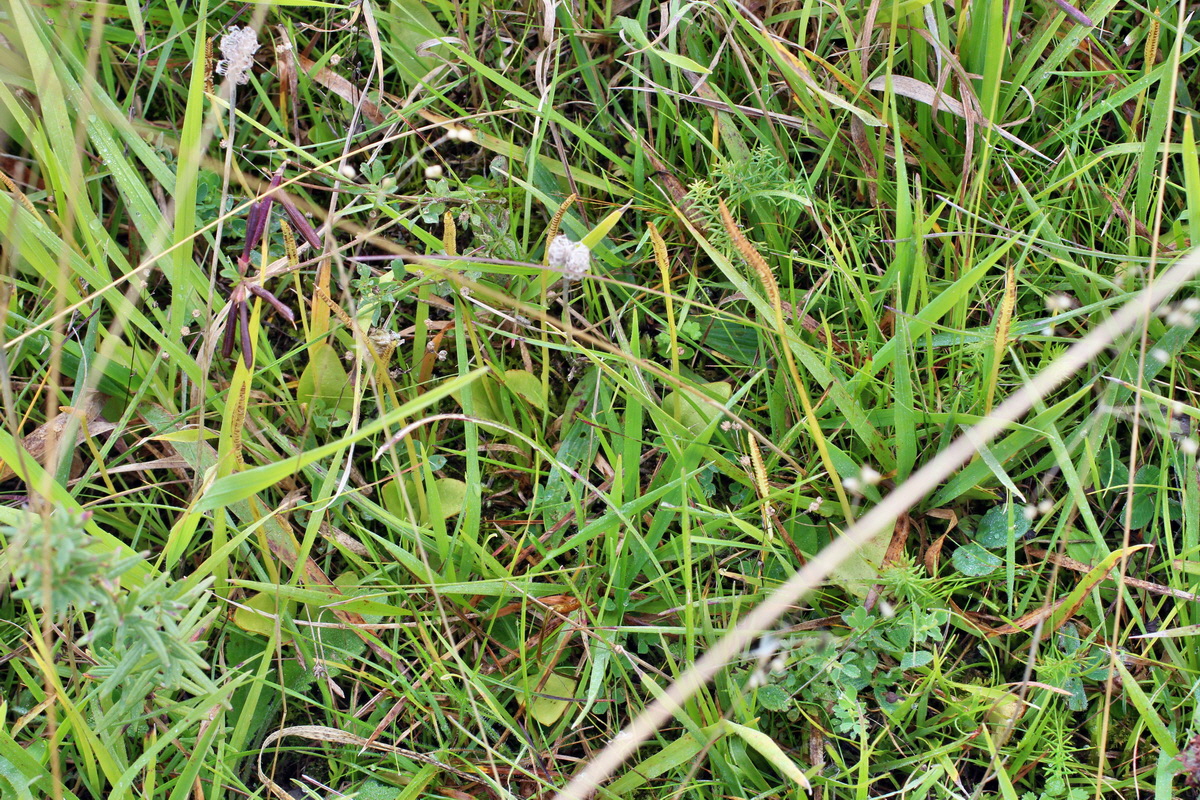 2014_08_25_00050117p_Bildgr��e �ndern