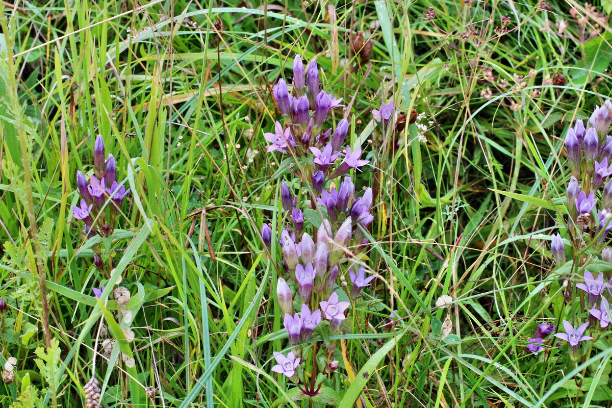 2014_08_25_00050124p_Bildgr��e �ndern