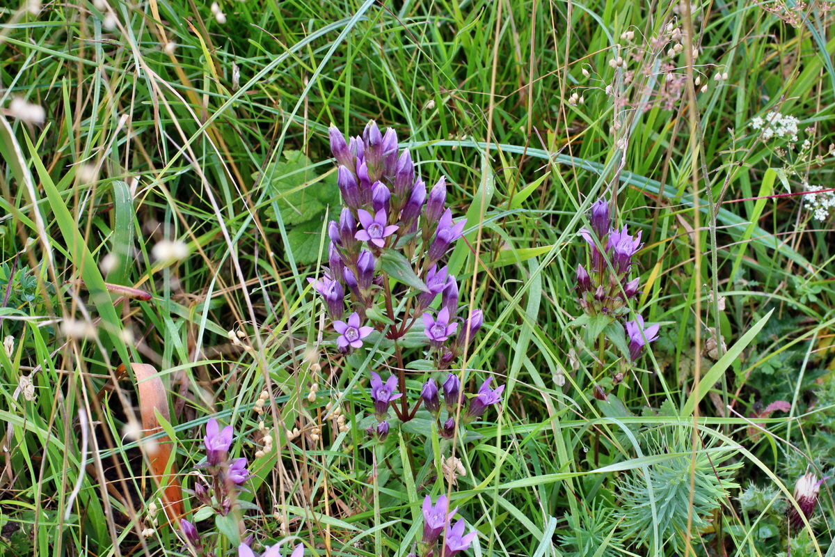 2014_08_25_00050132p_Bildgr��e �ndern