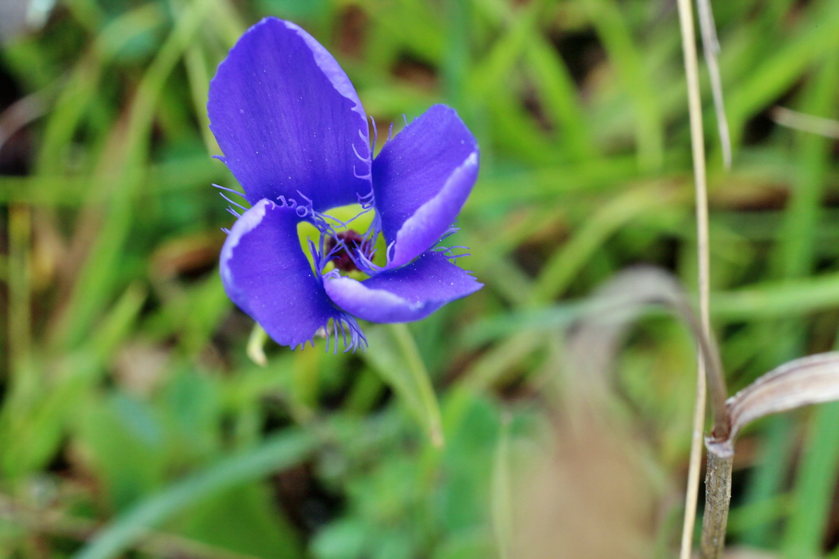 2014_08_25_00050139p_Bildgr��e �ndern