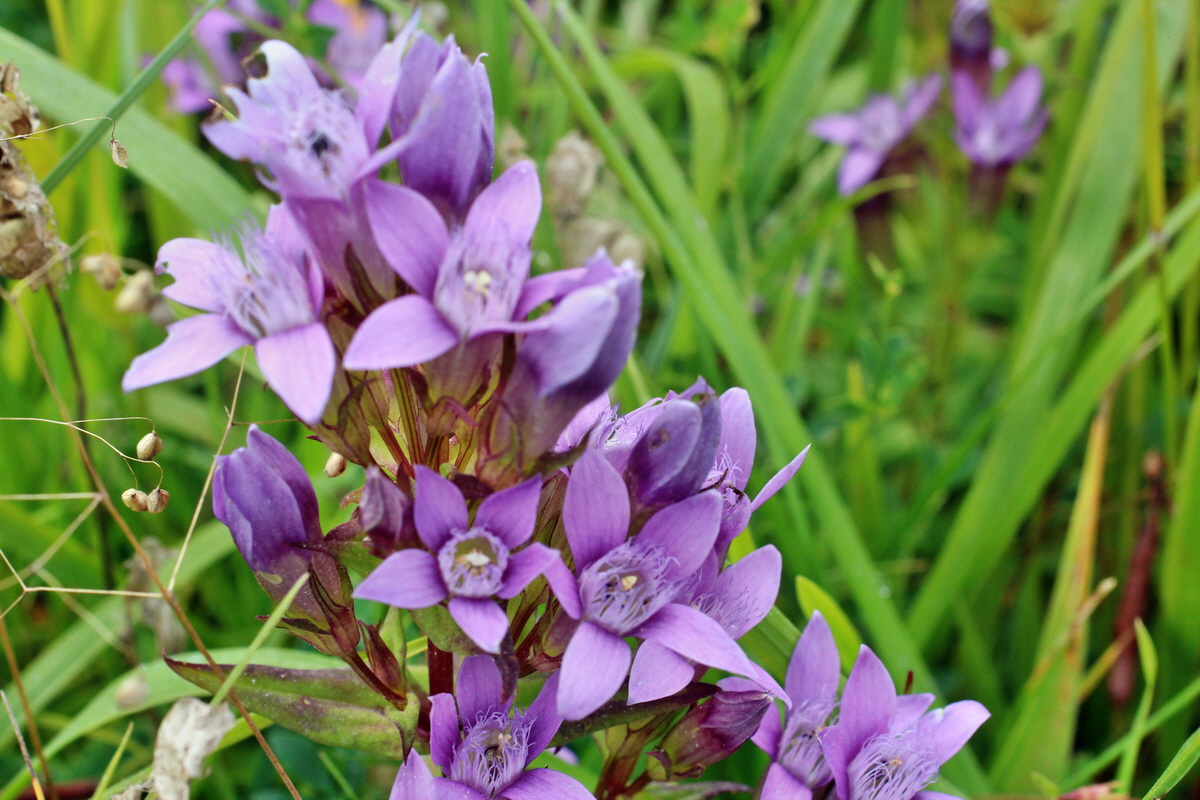 2014_08_25_00050143p_Bildgr��e �ndern