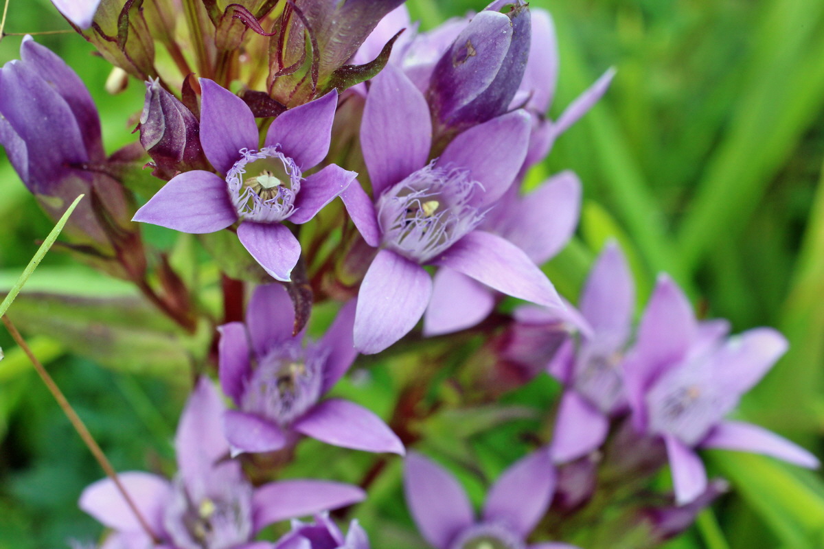 2014_08_25_00050145p_Bildgr��e �ndern