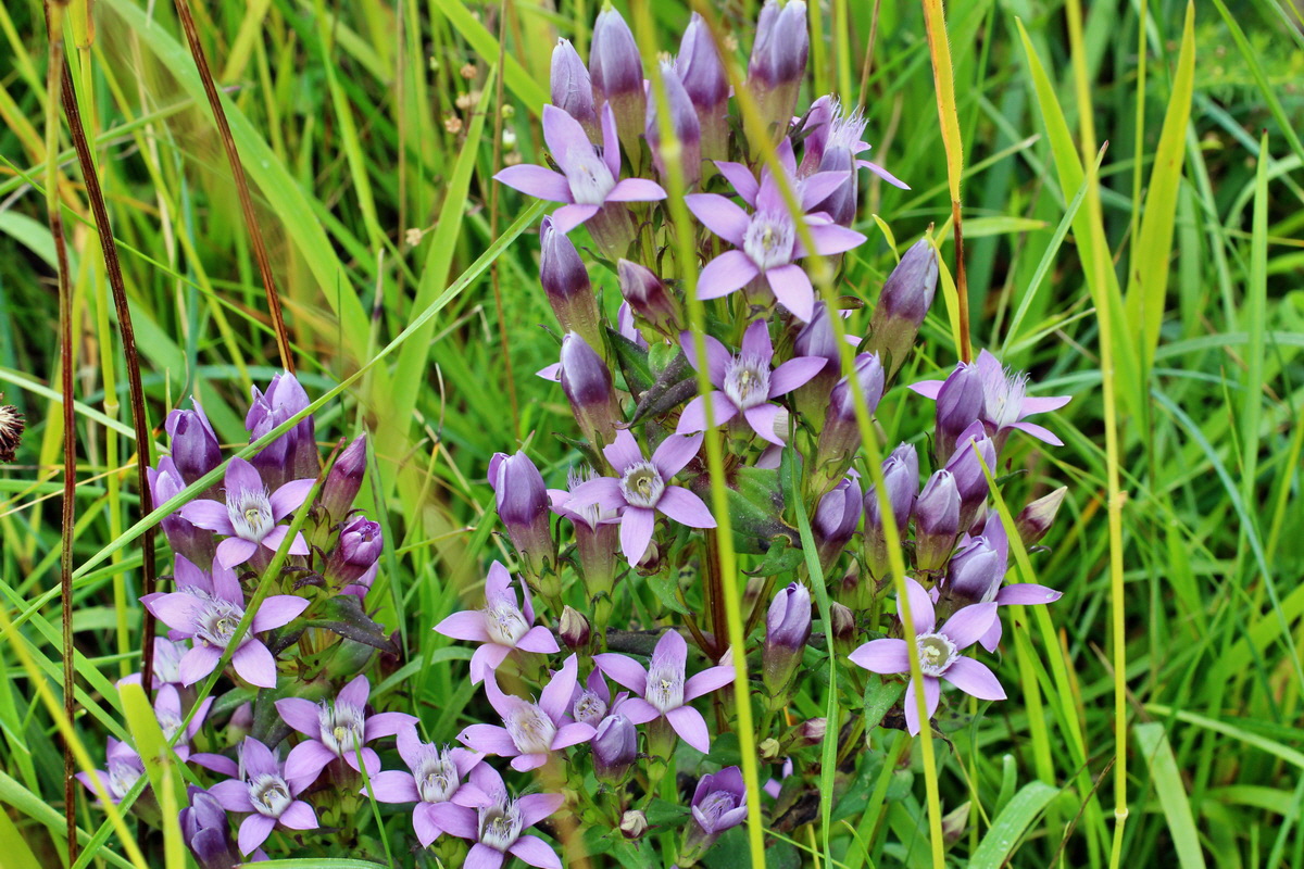 2014_08_25_00050158p_Bildgr��e �ndern