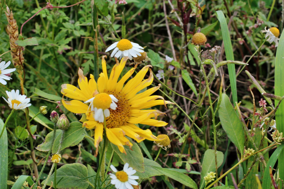 2014_08_25_00050166p_Bildgr��e �ndern