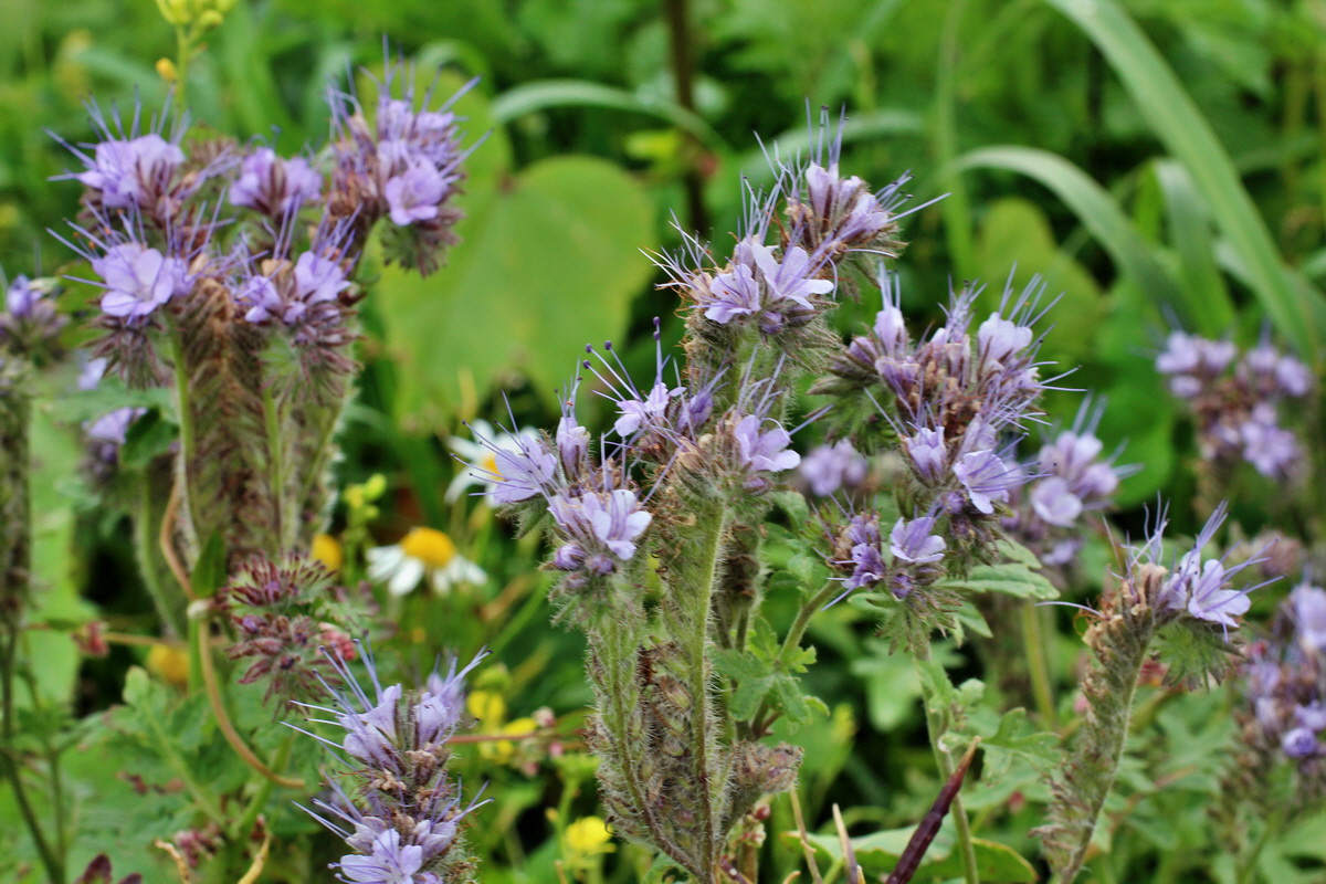 2014_08_25_00050170p_Bildgr��e �ndern