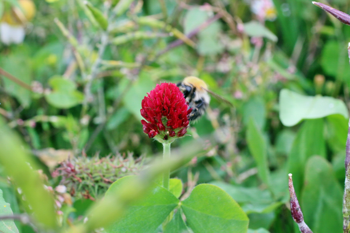 2014_08_25_00050173p_Bildgr��e �ndern