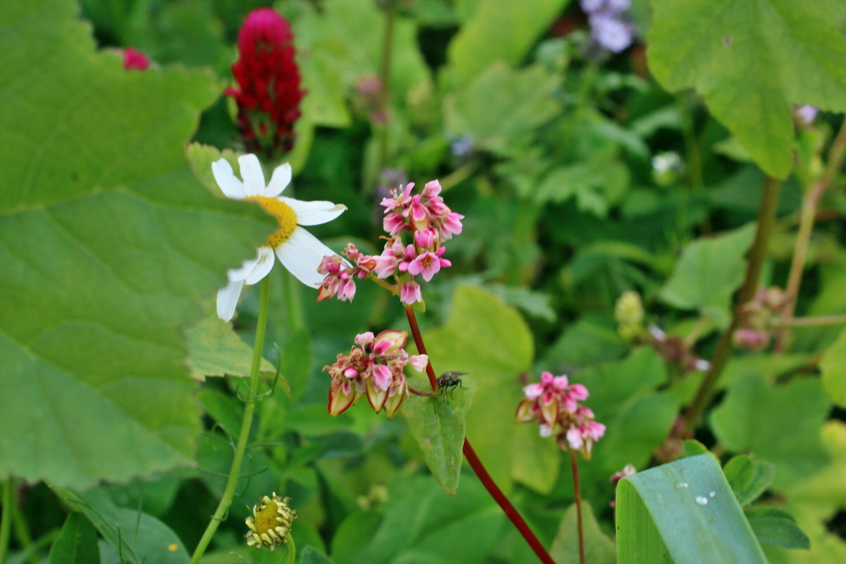 2014_08_25_00050179p_Bildgr��e �ndern