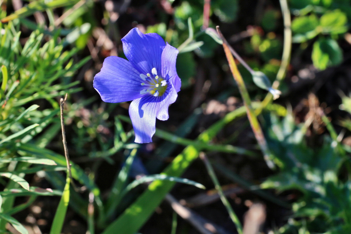 2014_08_28_00050188p_Bildgr��e �ndern