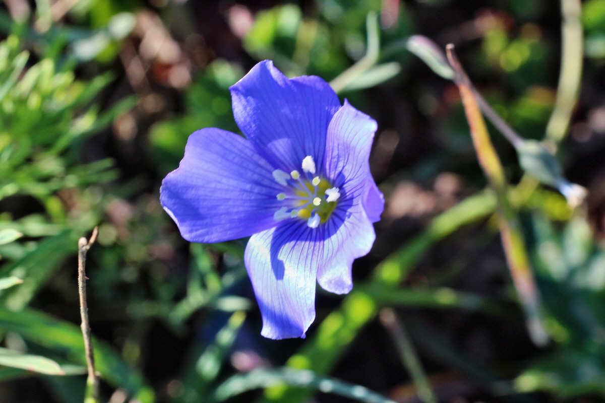 2014_08_28_00050189p_Bildgr��e �ndern