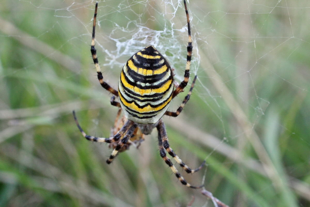 2014_08_28_00050196p_Bildgr��e �ndern