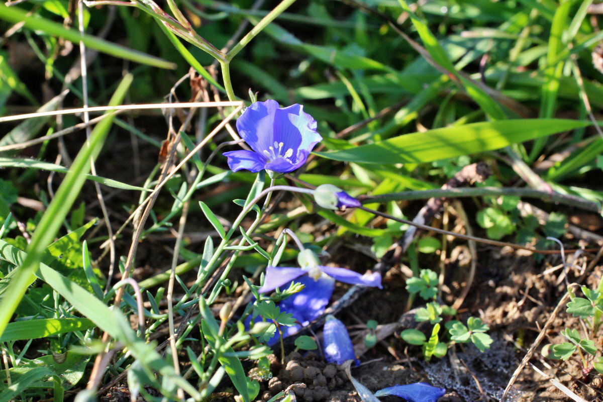 2014_08_28_00050202p_Bildgr��e �ndern