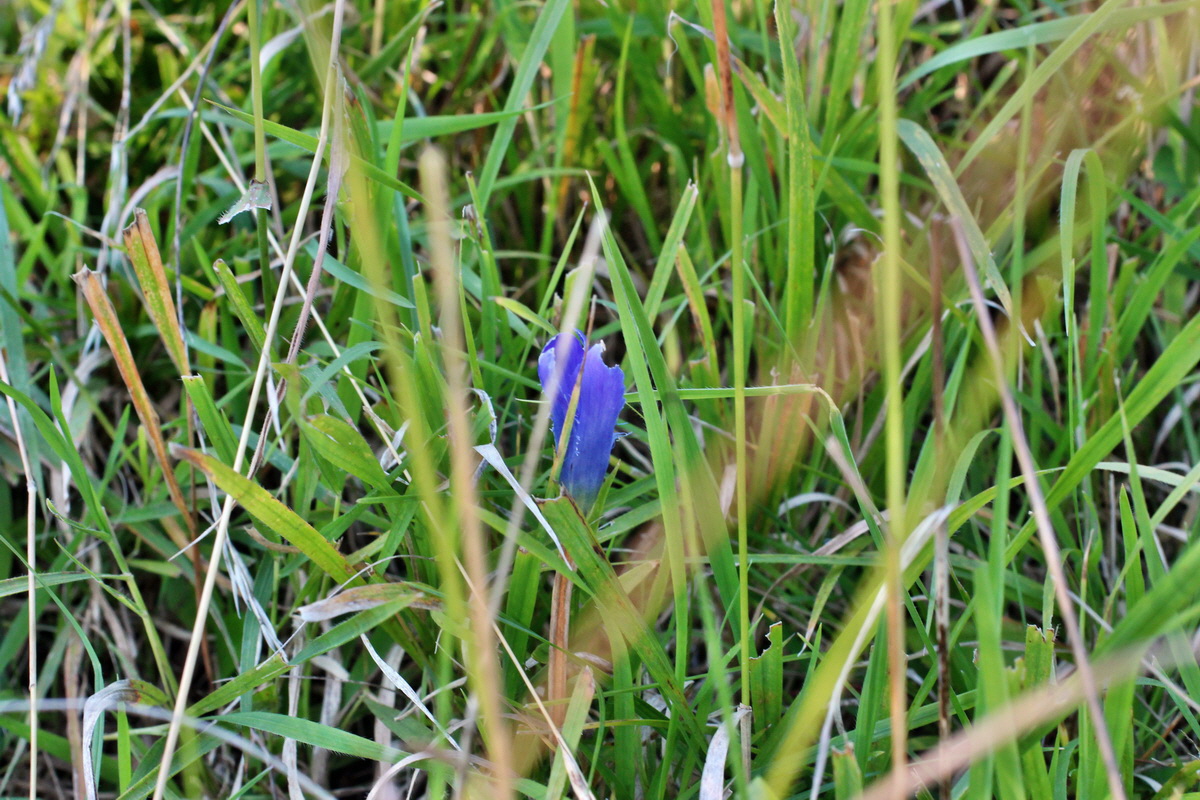 2014_08_28_00050208p_Bildgr��e �ndern