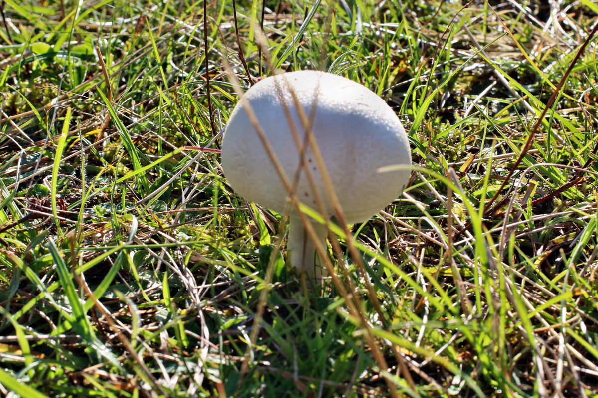 2014_08_28_00050212p_Bildgr��e �ndern