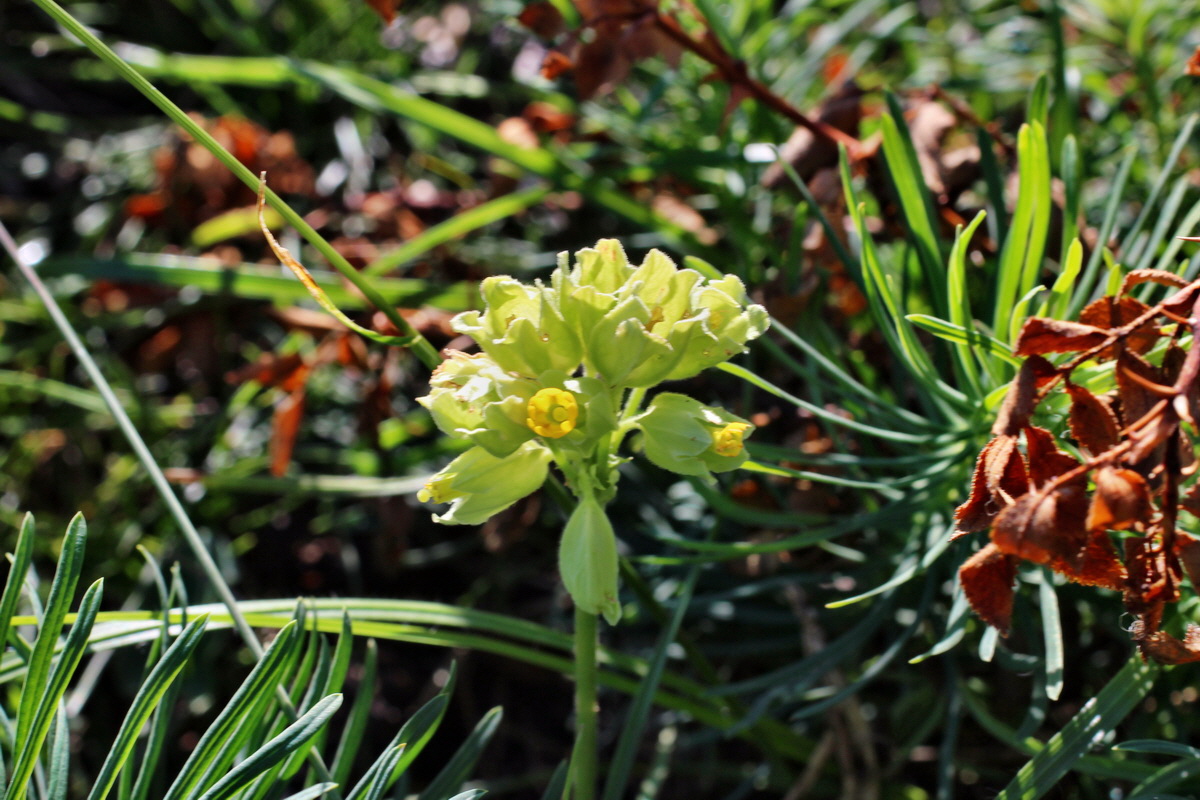 2014_08_28_00050215p_Bildgr��e �ndern