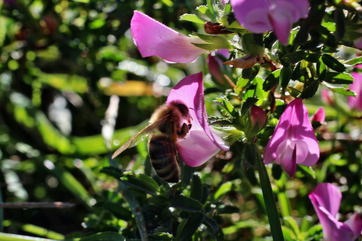 2014_08_28_00050218p_Bildgr��e �ndern