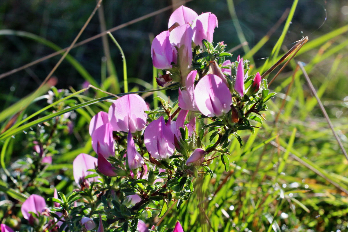 2014_08_28_00050227p_Bildgr��e �ndern