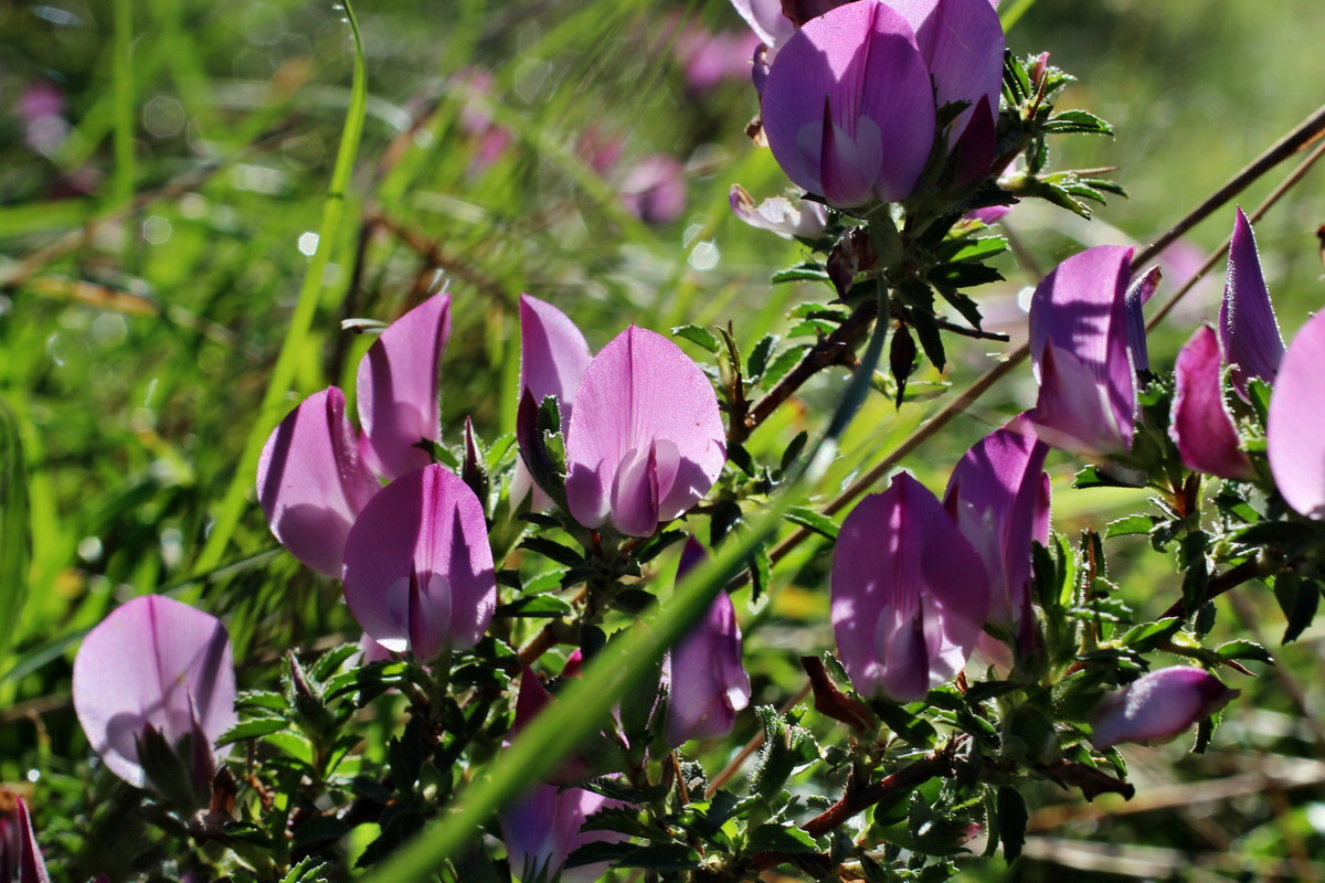 2014_08_28_00050229p_Bildgr��e �ndern