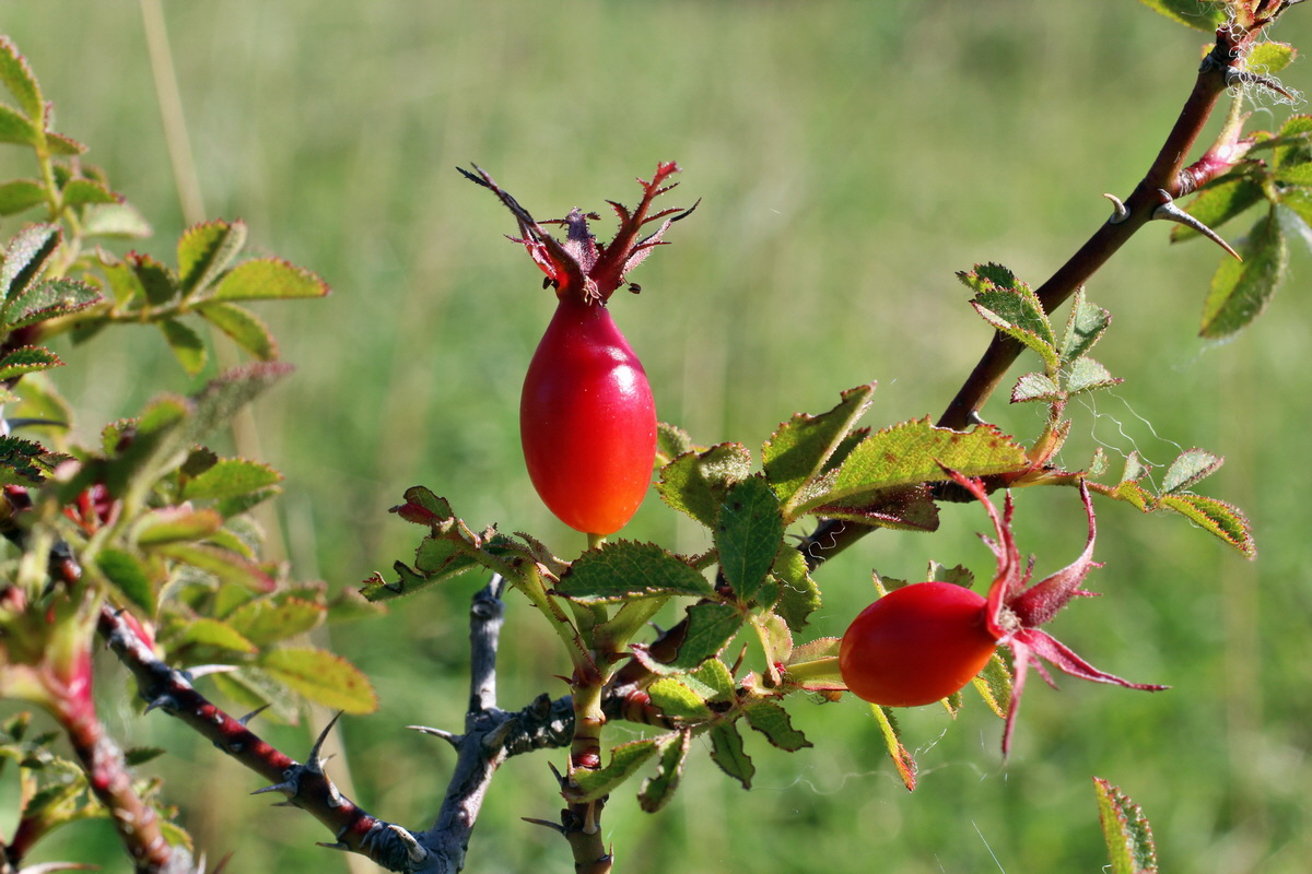 2014_08_28_00050231p_Bildgr��e �ndern