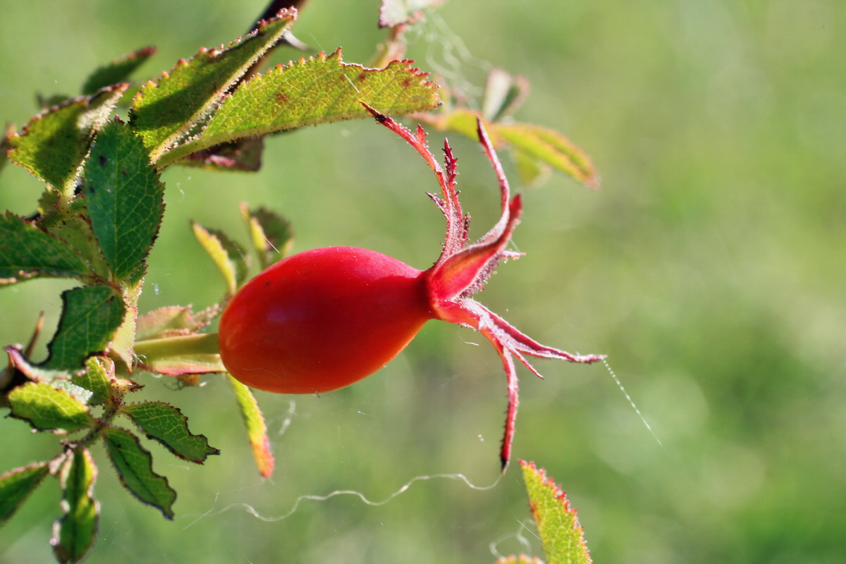 2014_08_28_00050233p_Bildgr��e �ndern