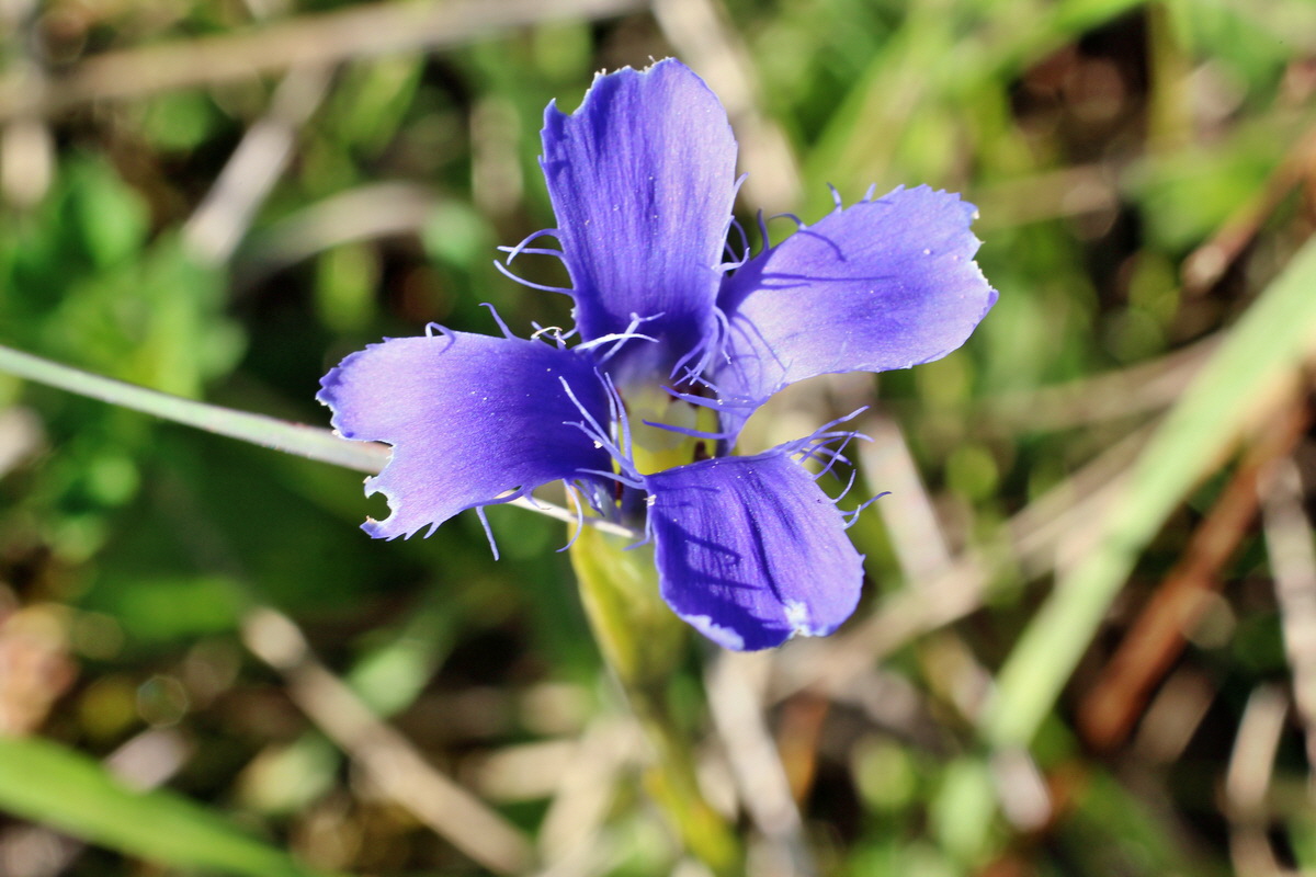 2014_08_28_00050246p_Bildgr��e �ndern