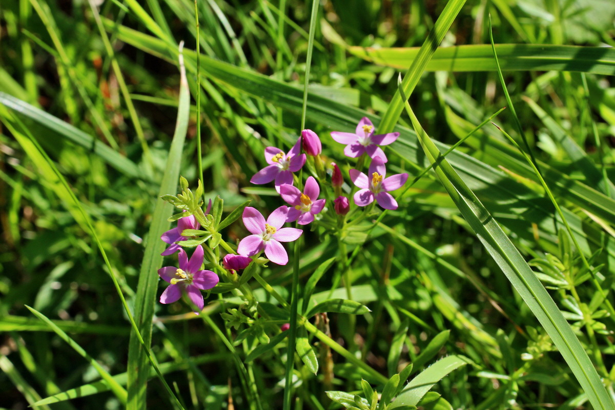 2014_08_28_00050249p_Bildgr��e �ndern