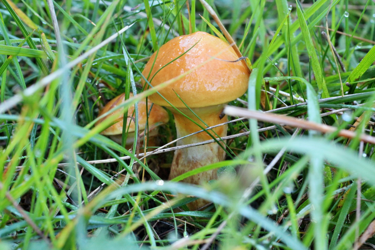 2014_08_28_00050263p_Bildgr��e �ndern