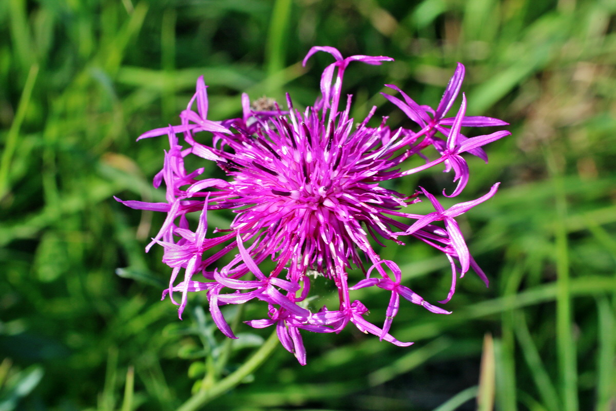 2014_08_28_00050270p_Bildgr��e �ndern