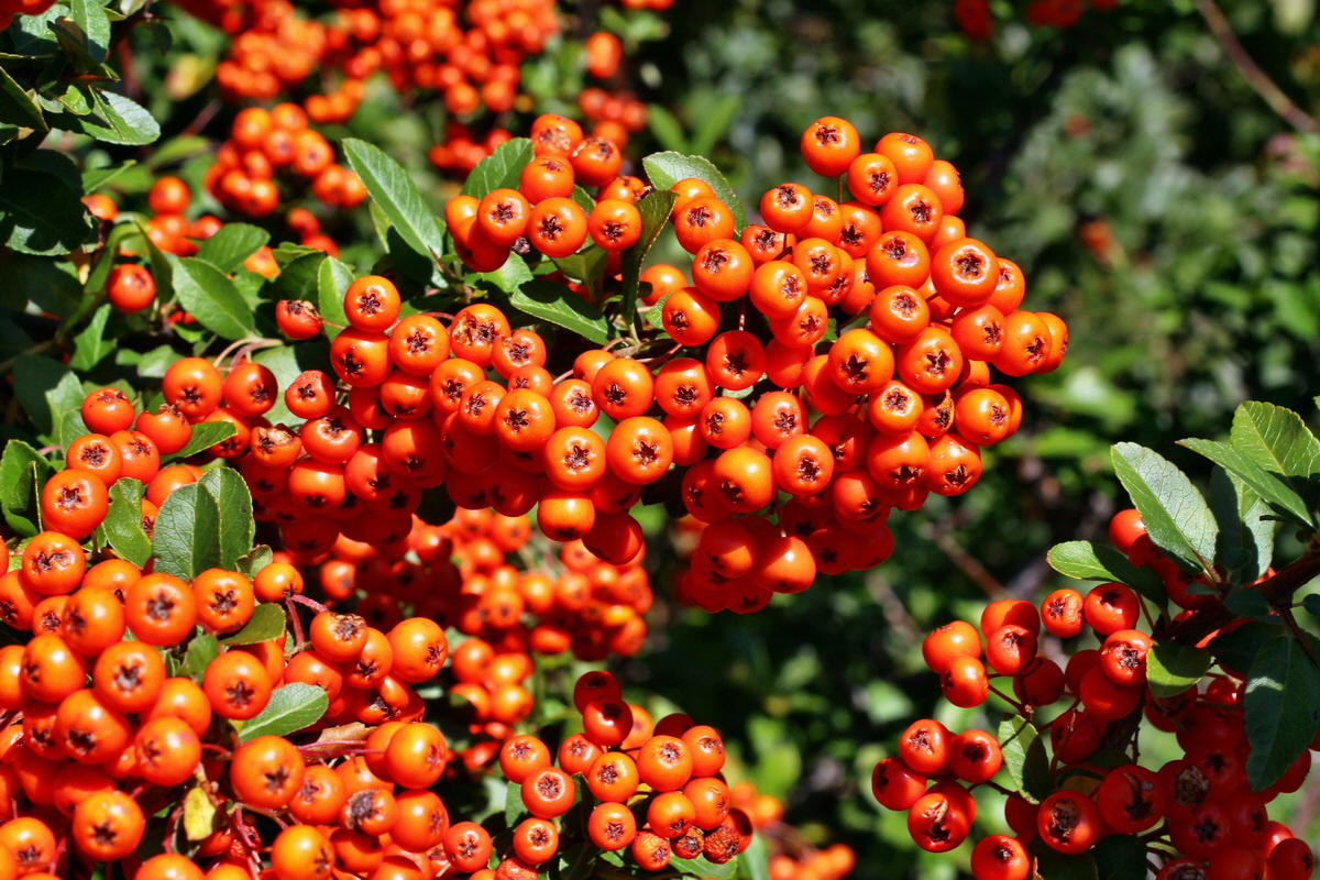 2014_08_28_00050278p_Bildgr��e �ndern