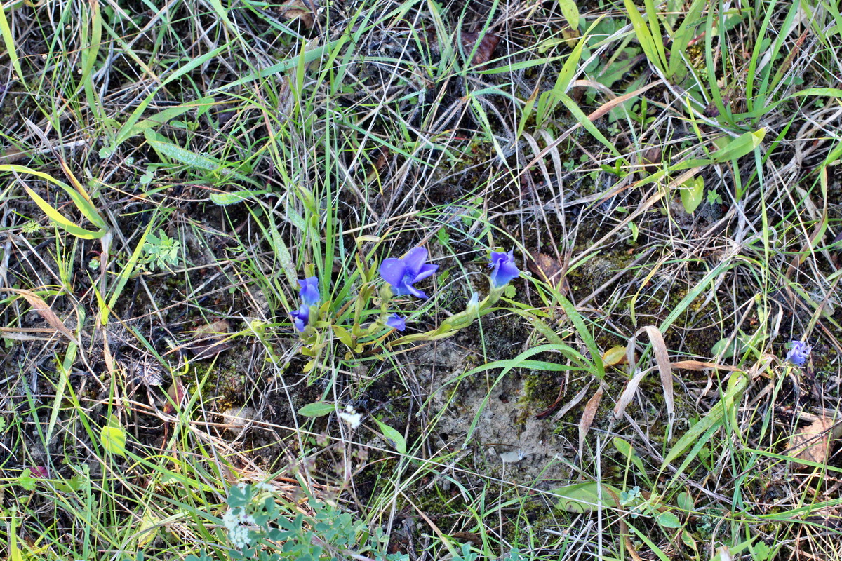 2014_08_28_00050279p_Bildgr��e �ndern