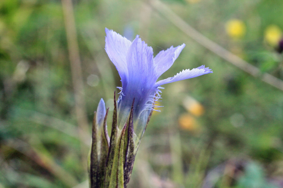 2014_08_28_00050288p_Bildgr��e �ndern