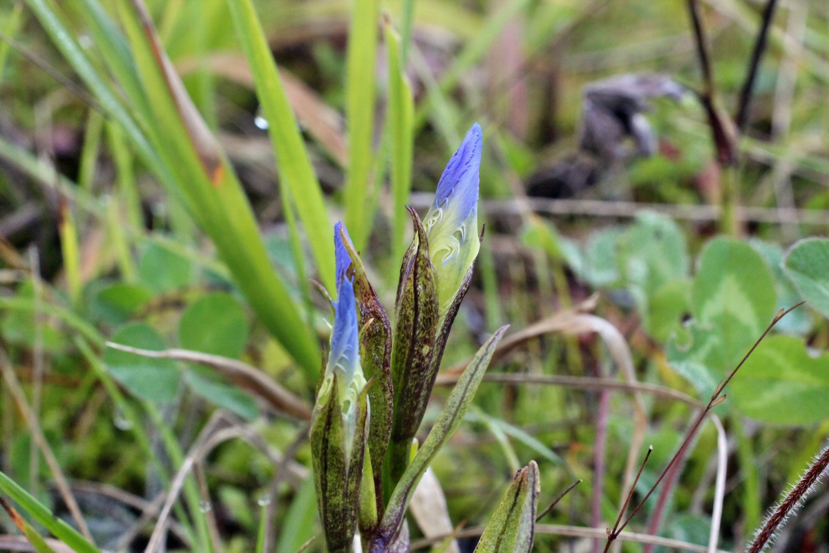 2014_08_28_00050291p_Bildgr��e �ndern