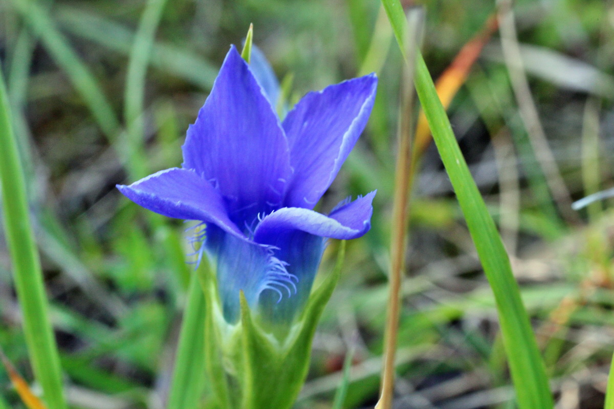 2014_08_28_00050294p_Bildgr��e �ndern