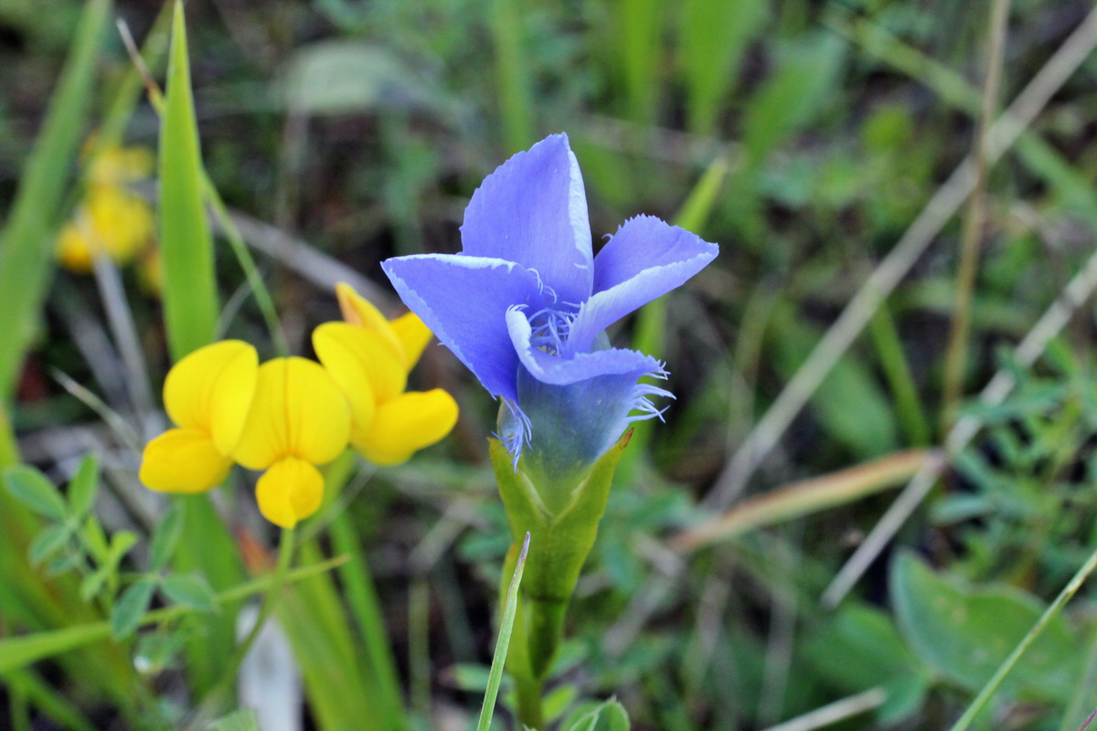 2014_08_28_00050296p_Bildgr��e �ndern