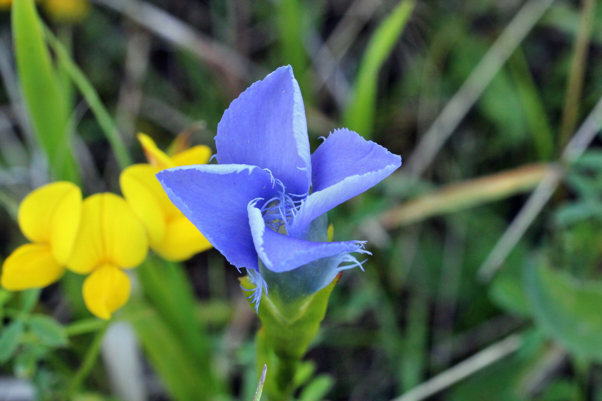 2014_08_28_00050297p_Bildgr��e �ndern