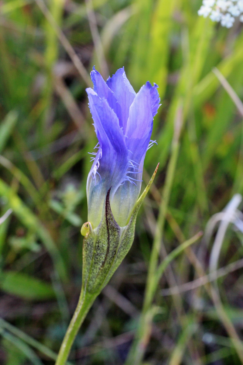 2014_08_28_00050302p_Bildgr��e �ndern