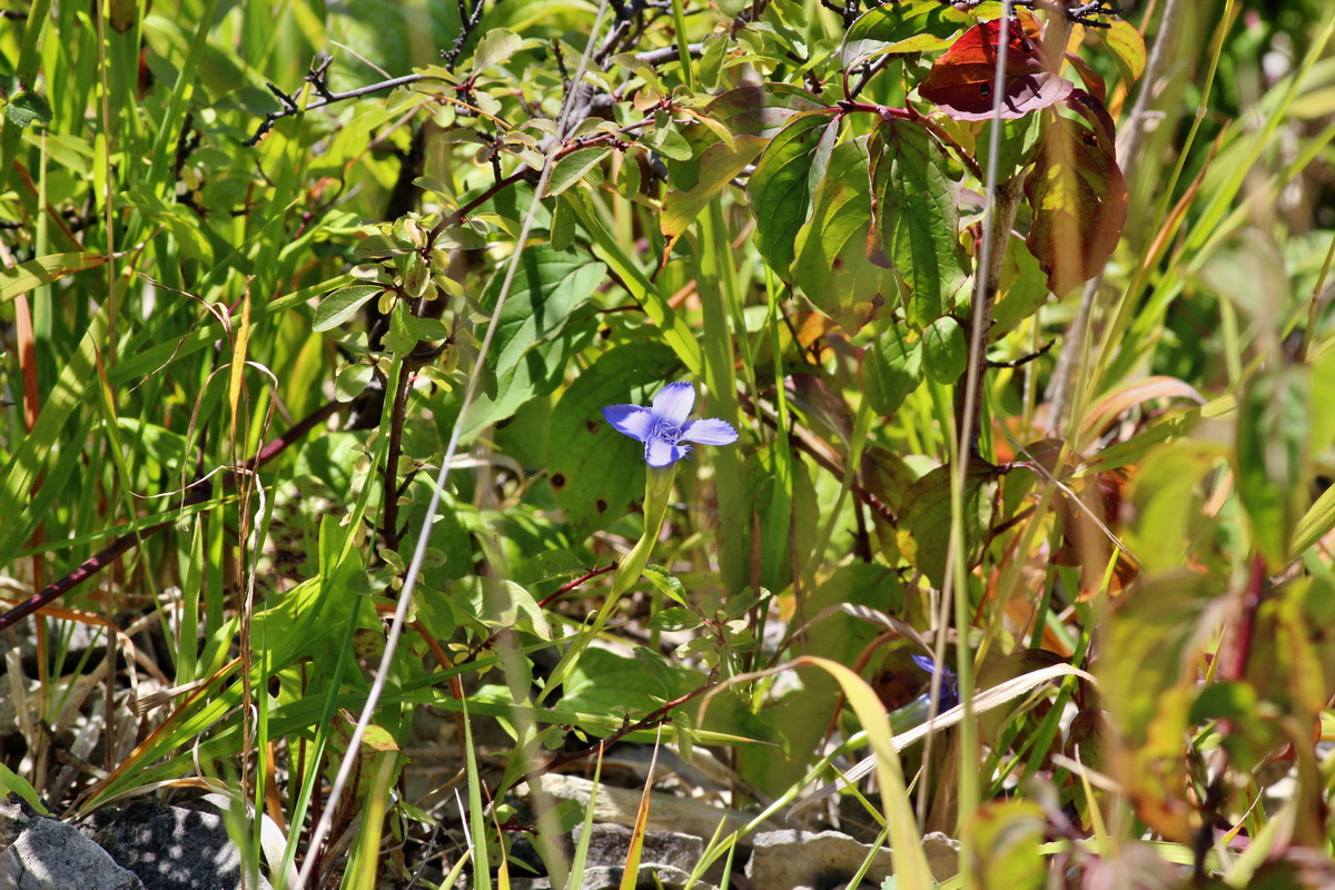 2014_08_28_00050305p_Bildgr��e �ndern