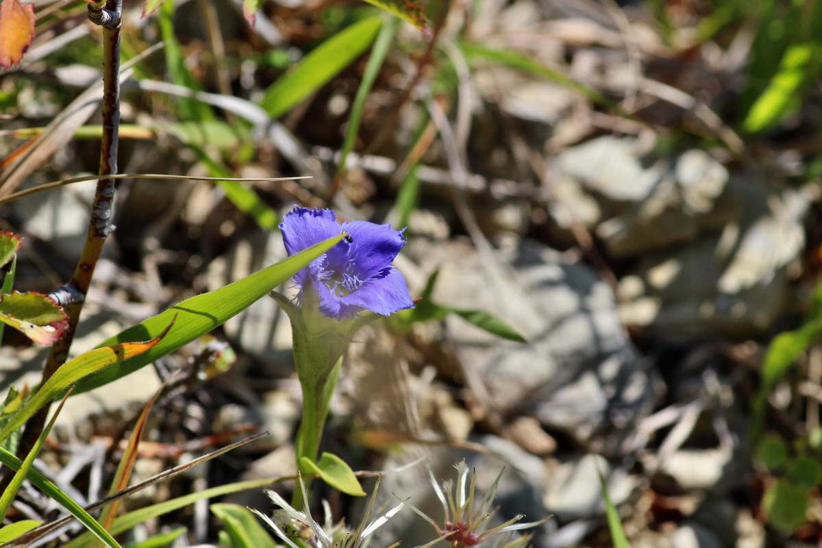 2014_08_28_00050308p_Bildgr��e �ndern