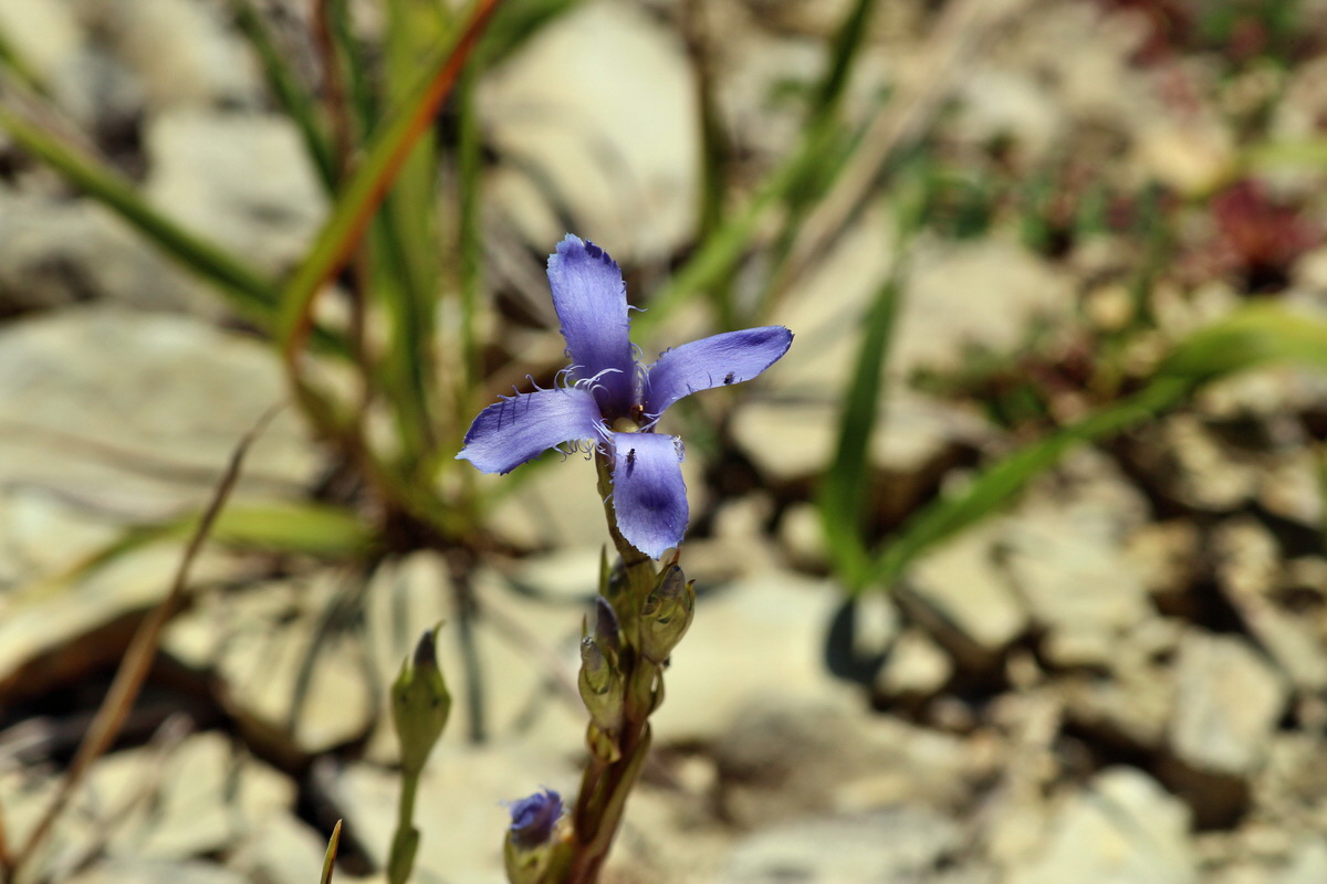 2014_08_28_00050310p_Bildgr��e �ndern