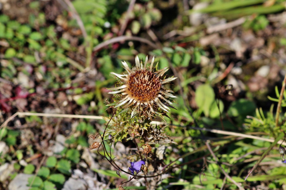 2014_08_28_00050312p_Bildgr��e �ndern