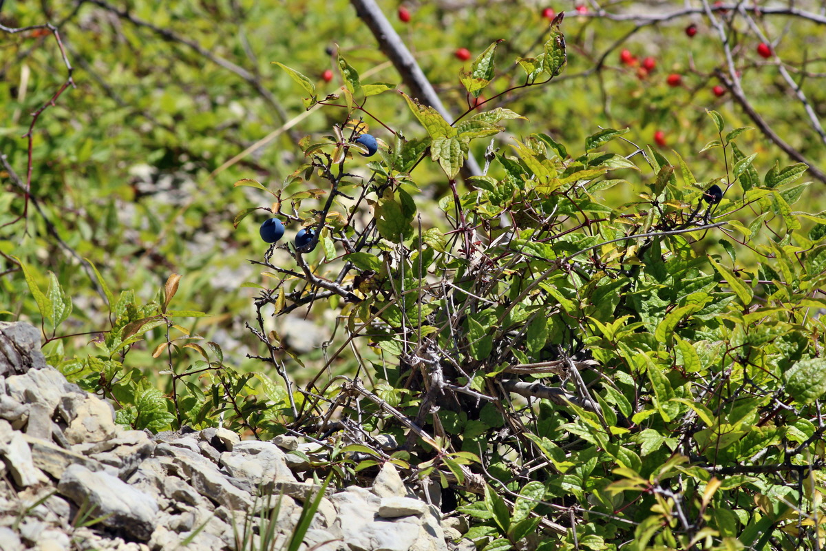 2014_08_28_00050316p_Bildgr��e �ndern