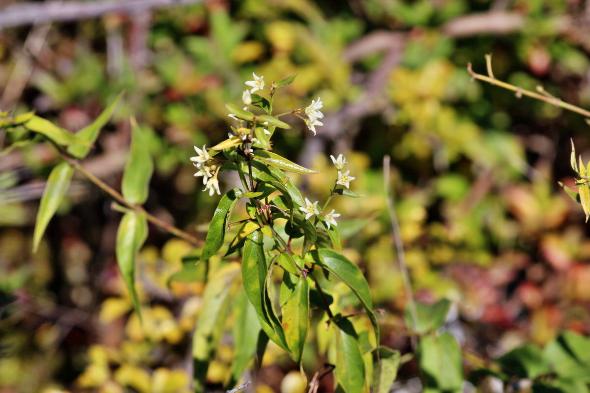 2014_08_28_00050322p_Bildgr��e �ndern