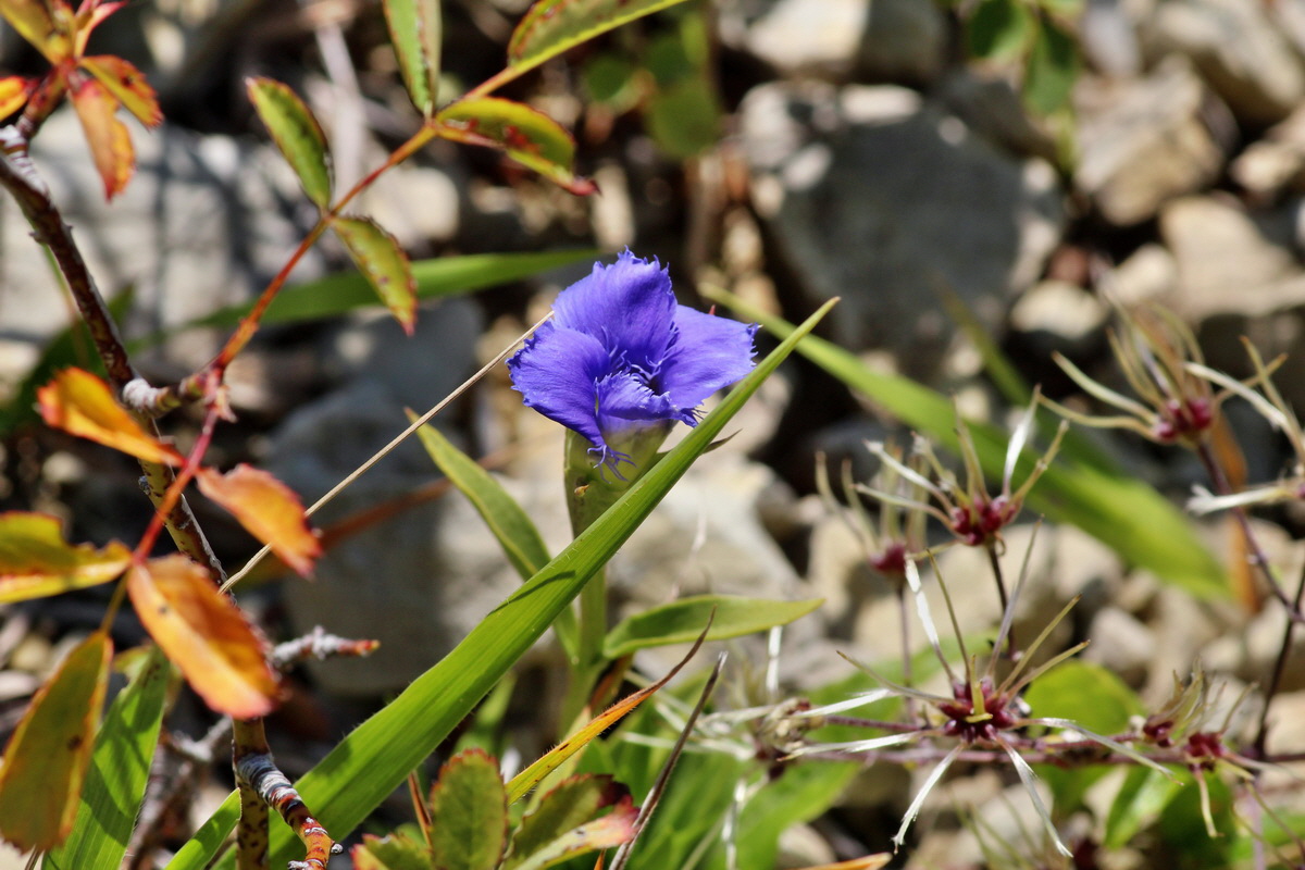 2014_08_28_00050338p_Bildgr��e �ndern