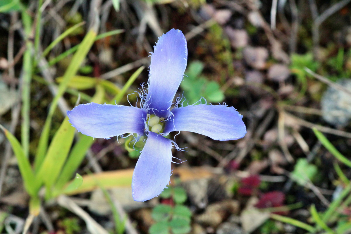 2014_08_28_00050340p_Bildgr��e �ndern