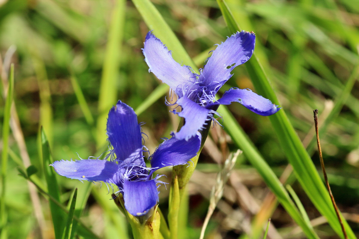 2014_08_28_00050343p_Bildgr��e �ndern