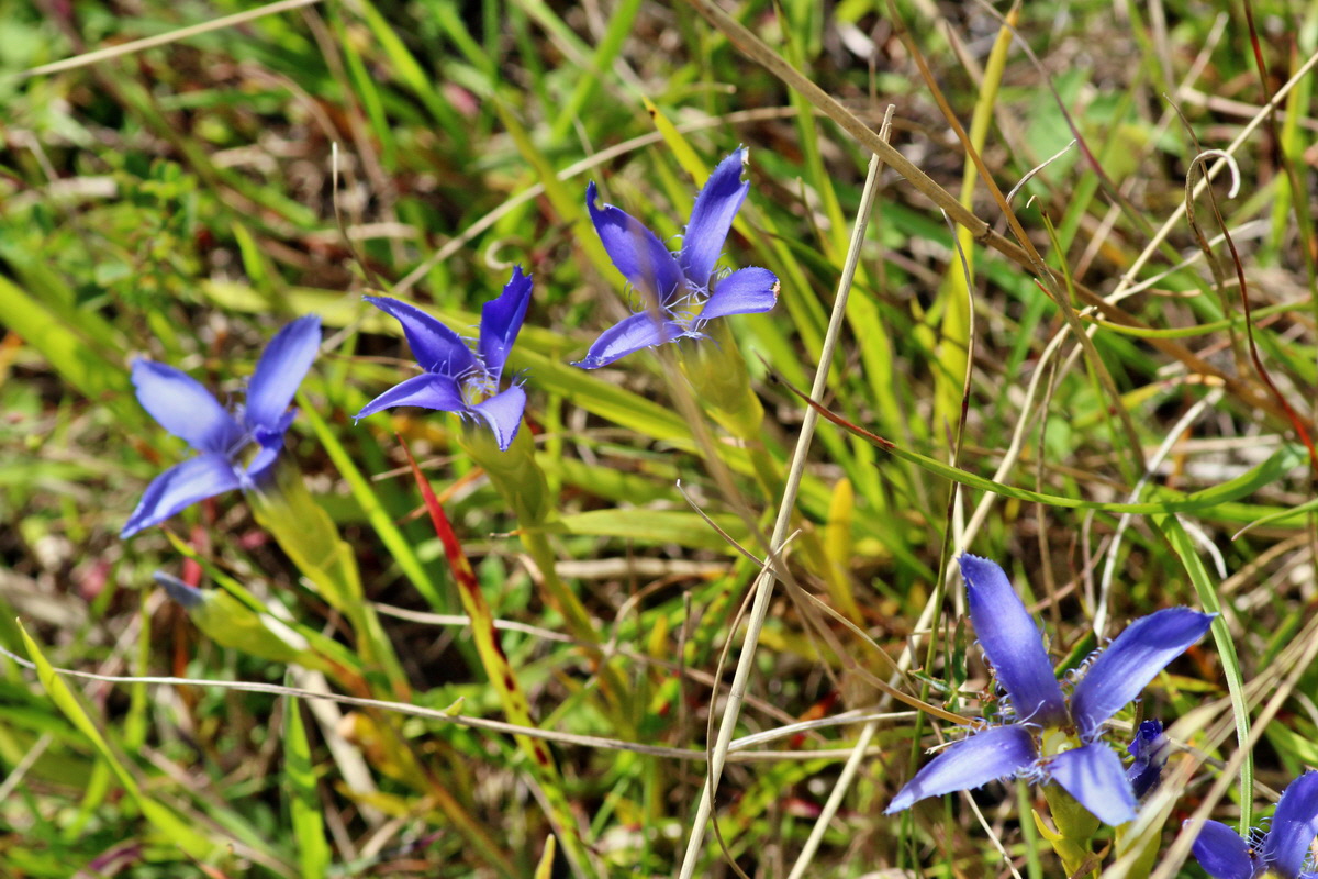 2014_08_28_00050348p_Bildgr��e �ndern