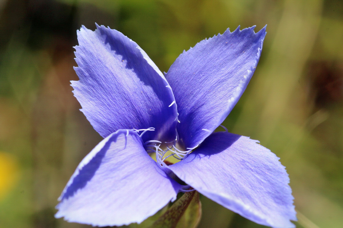 2014_08_28_00050351p_Bildgr��e �ndern